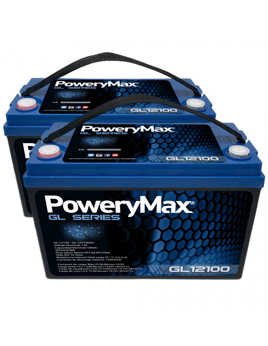 Batería de Gel 24V 100Ah PoweryMax GL24100 + Cargador 24V 15A