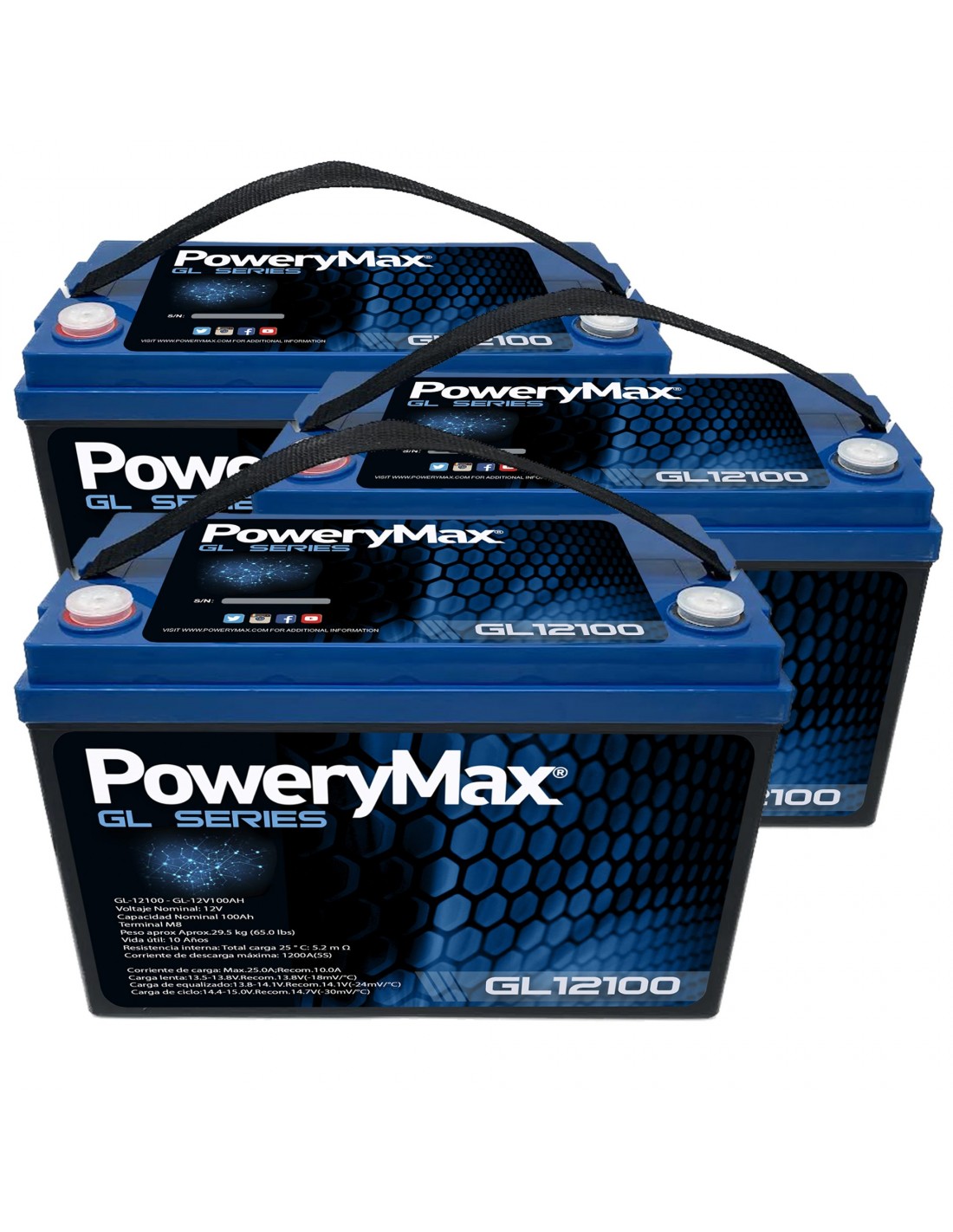 Batería de Gel 36V 100Ah PoweryMax GL36100 + Cargador 36V 15A